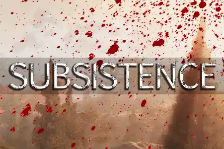 Game server rental, Subsistence